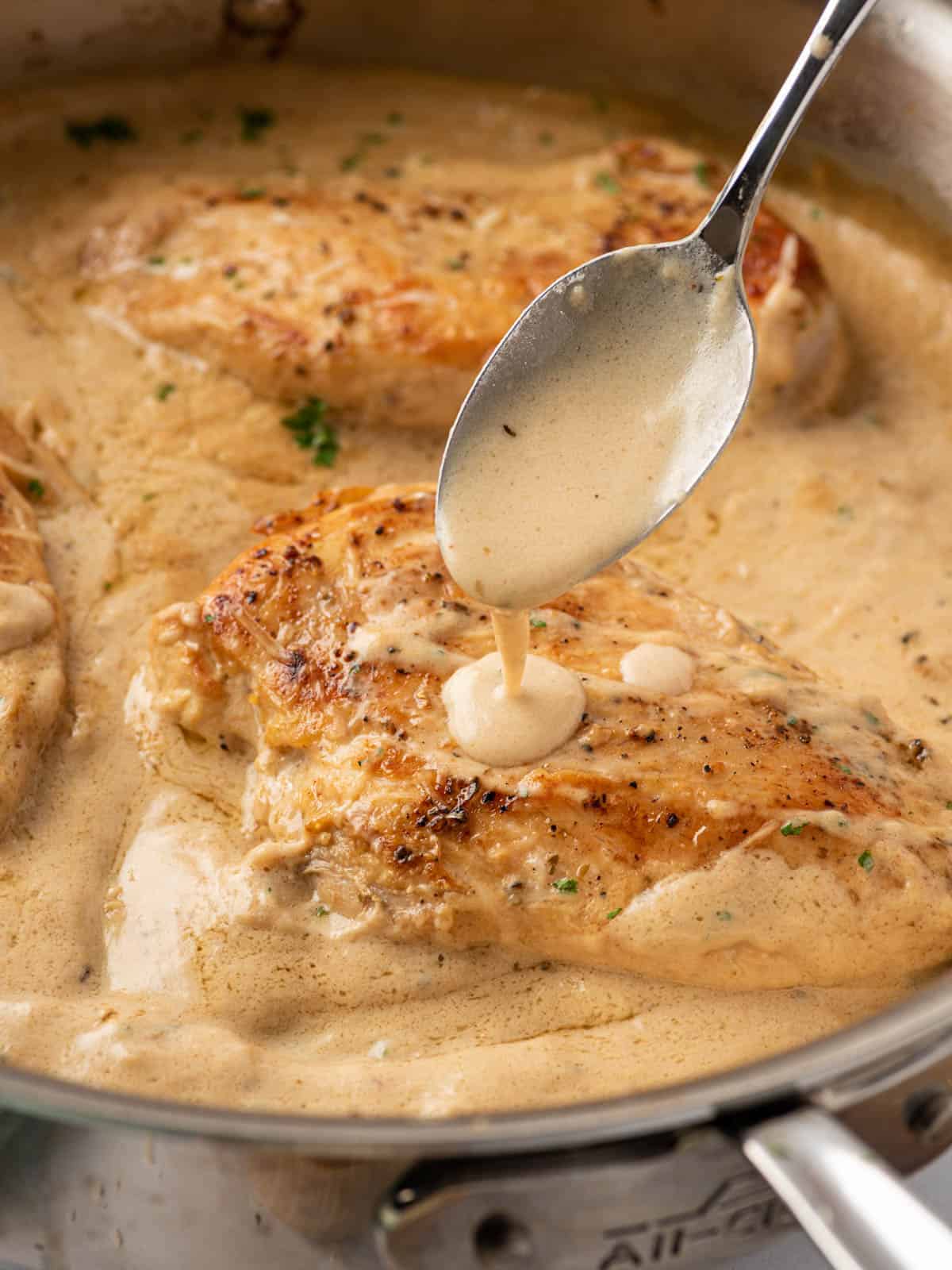 Creamy Garlic Parmesan Chicken Ingredients
