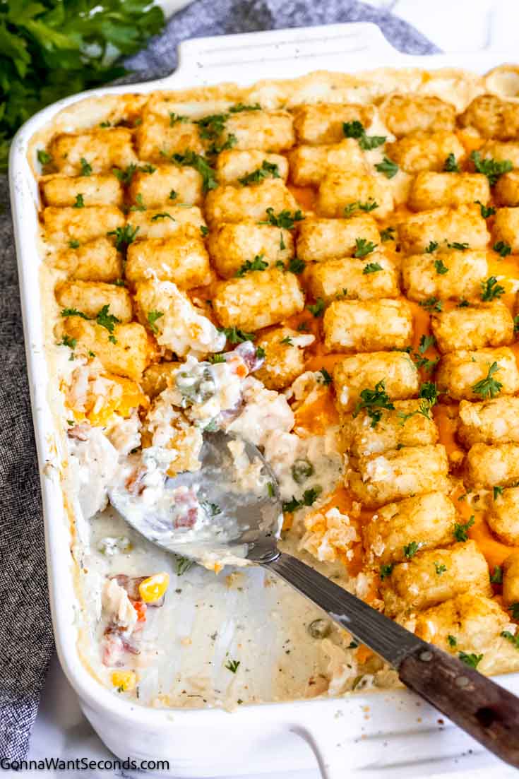 Cracked Out Chicken Tater Tot Casserole ingredients