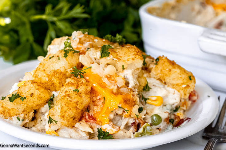 Cracked Out Chicken Tater Tot Casserole close up