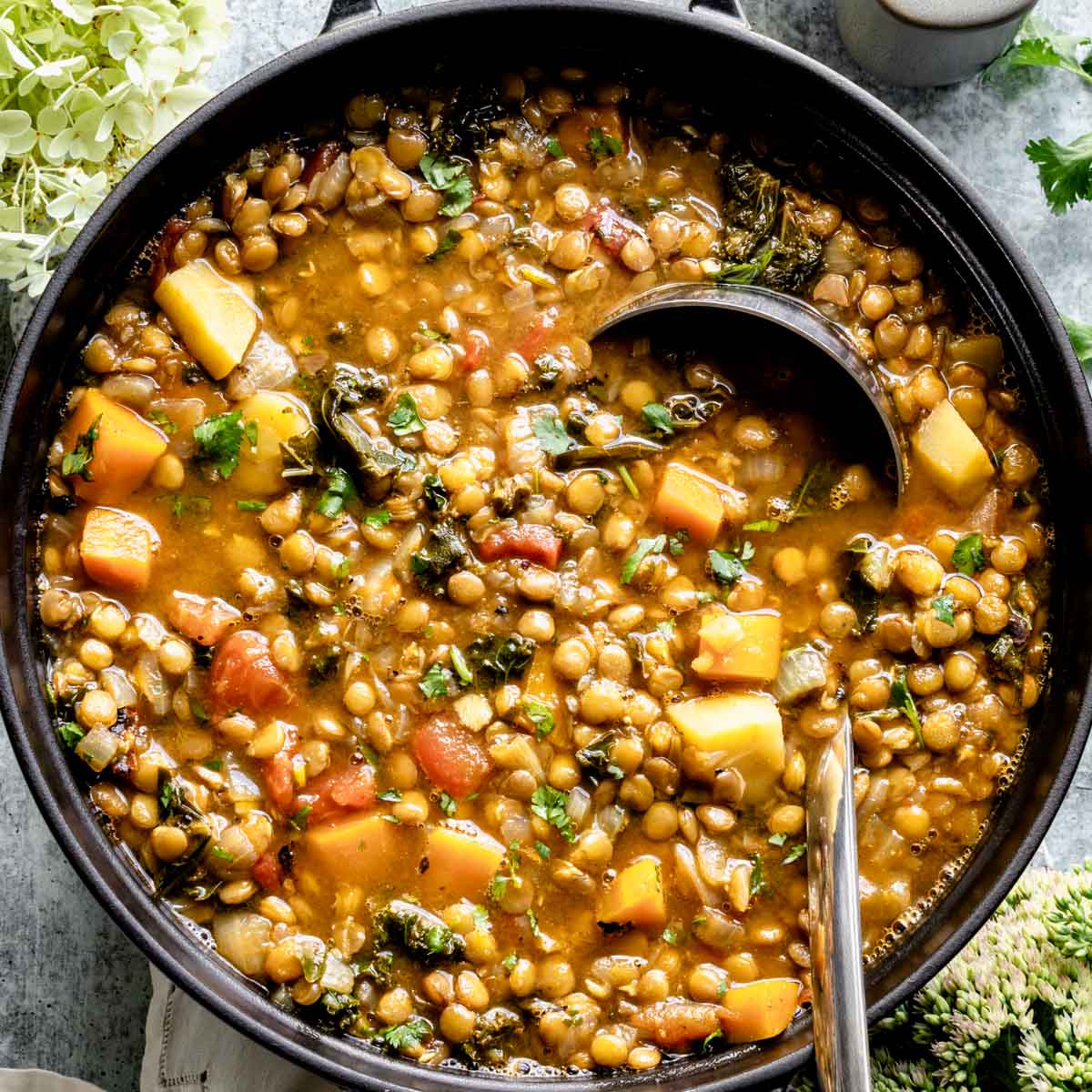 Vegetarian Lentil Soup in a pot