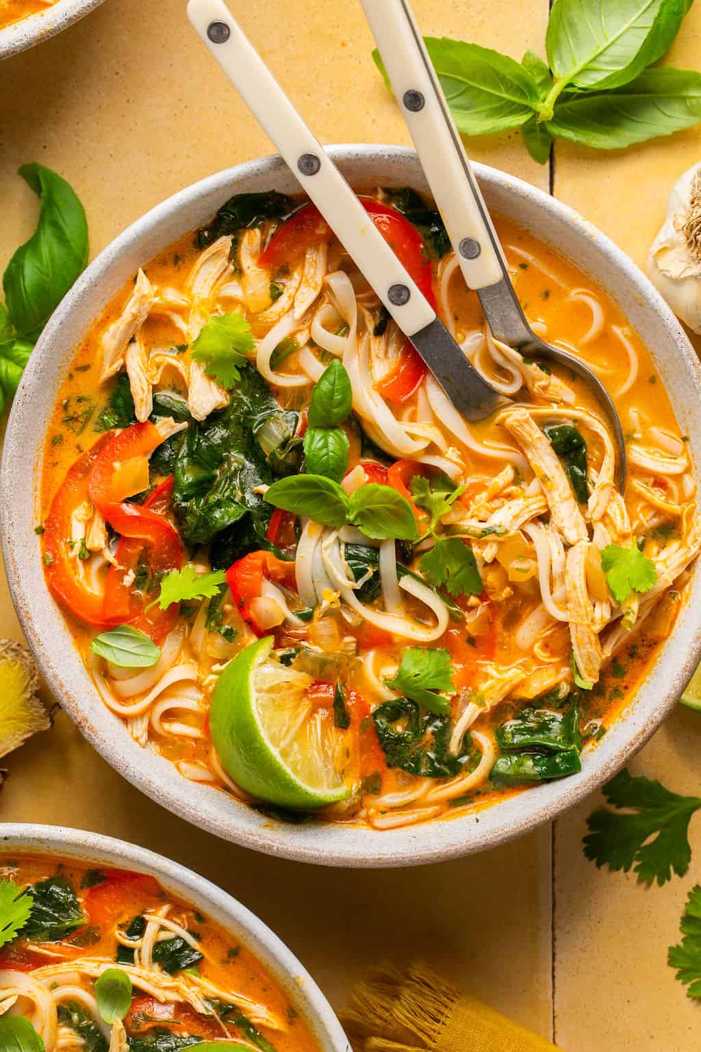 Easy Thai Chicken Curry Soup Ingredients