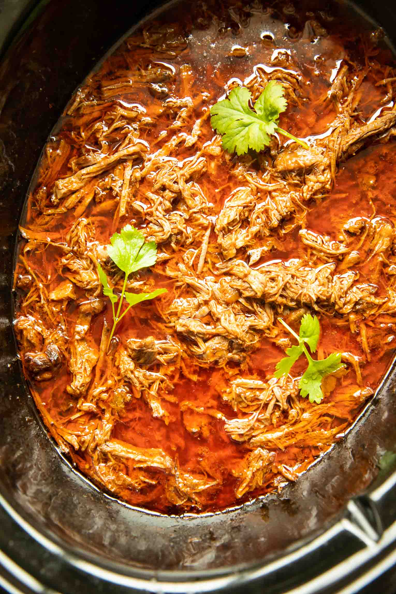 Birria Slow Cooker