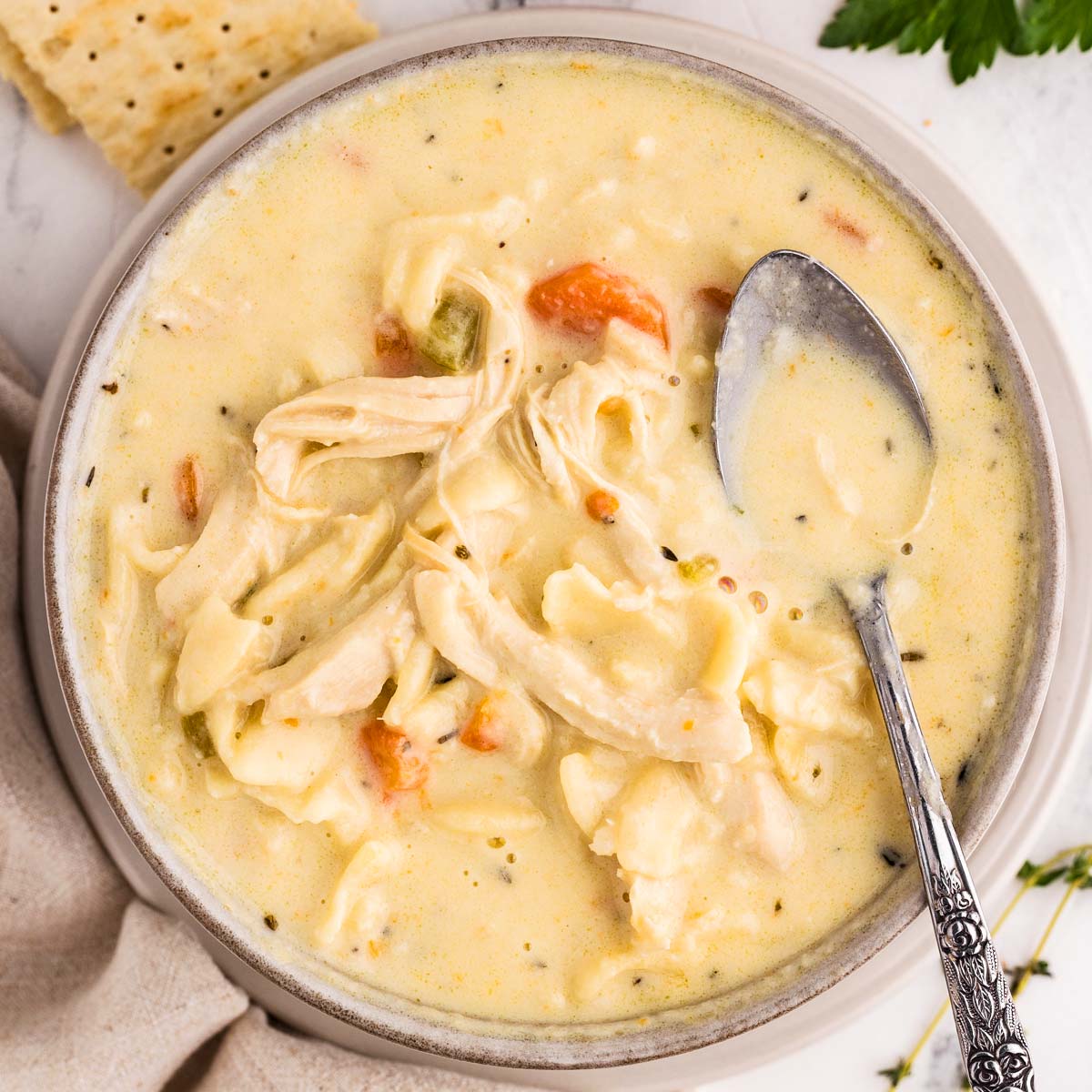 Cozy Creamy Chicken Noodle Soup Recipe presentation