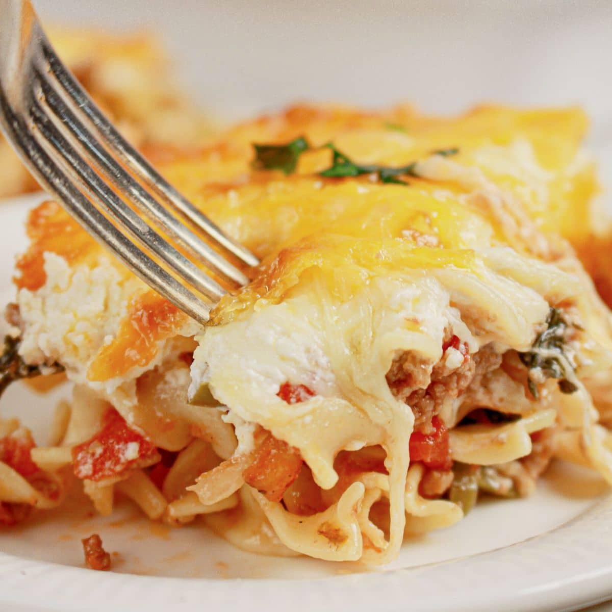 Beef Lombardi Casserole ingredients